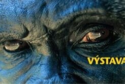 Výstava fotografií National Geographic